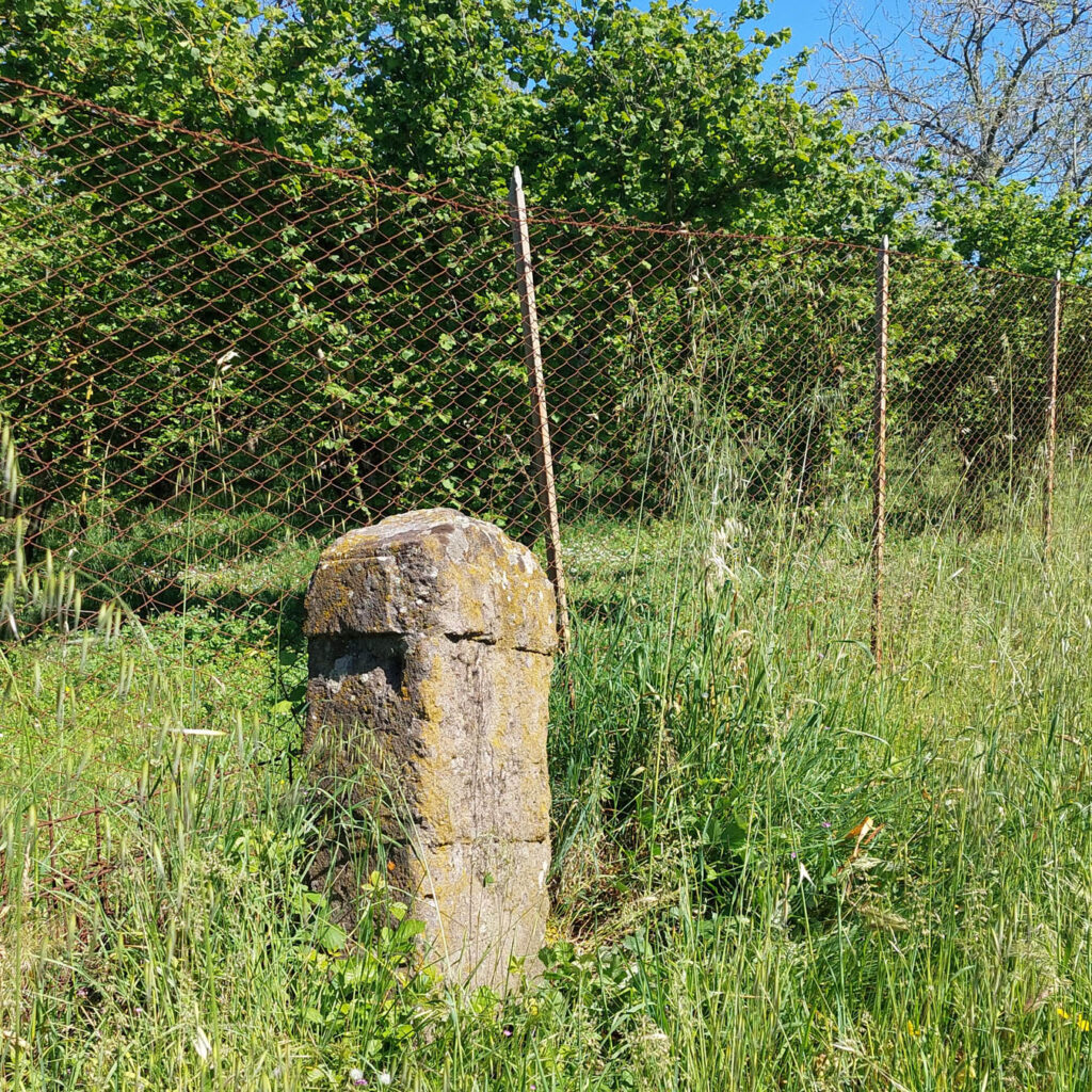 XXXVIII sulla Cassia Cimina